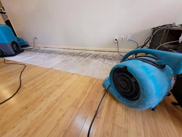 Professional Structural Drying technician working in Hico, TX